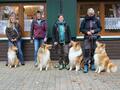 Collie-Treffen am 21.10.2023