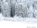 Schnee-Impressionen 2020/2021
