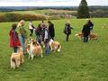 Collie-Treffen am 21.10.2023