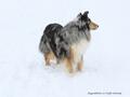 Schnee-Impressionen 2020/2021