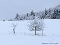 Schnee-Impressionen 2020/2021