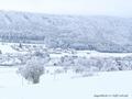 Schnee-Impressionen 2020/2021