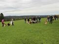 Collie-Treffen am 21.10.2023