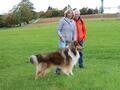 Collie-Treffen am 21.10.2023