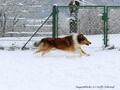 Schnee-Impressionen 2020/2021