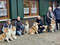 Collie-Treffen am 21.10.2023