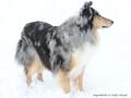 Schnee-Impressionen 2020/2021