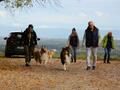 Collie-Treffen am 21.10.2023