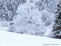 Schnee-Impressionen 2020/2021