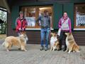Collie-Treffen am 21.10.2023