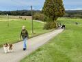 Collie-Treffen am 21.10.2023