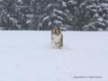 Schnee-Impressionen 2020/2021