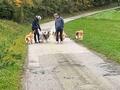 Collie-Treffen am 21.10.2023
