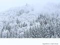 Schnee-Impressionen 2020/2021