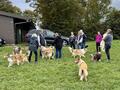 Collie-Treffen am 21.10.2023