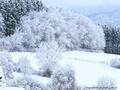 Schnee-Impressionen 2020/2021