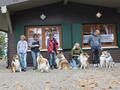 Collie-Treffen am 21.10.2023