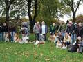 Collie-Treffen am 21.10.2023