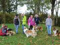 Collie-Treffen am 21.10.2023
