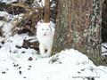 Schnee-Impressionen 2020/2021