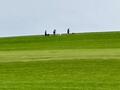 Collie-Treffen am 21.10.2023