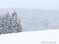 Schnee-Impressionen 2020/2021