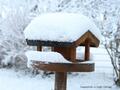 Schnee-Impressionen 2020/2021