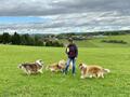 Collie-Treffen am 21.10.2023