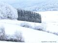 Schnee-Impressionen 2020/2021