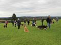 Collie-Treffen am 21.10.2023