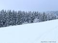 Schnee-Impressionen 2020/2021