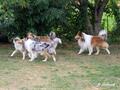 Kleines Treffen am 03.09.2016