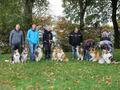 Collie-Treffen am 21.10.2023