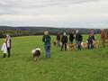 Collie-Treffen am 21.10.2023